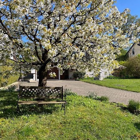 Ferienwohnung Am Kirschbaum Uhldingen-Mühlhofen Exteriér fotografie