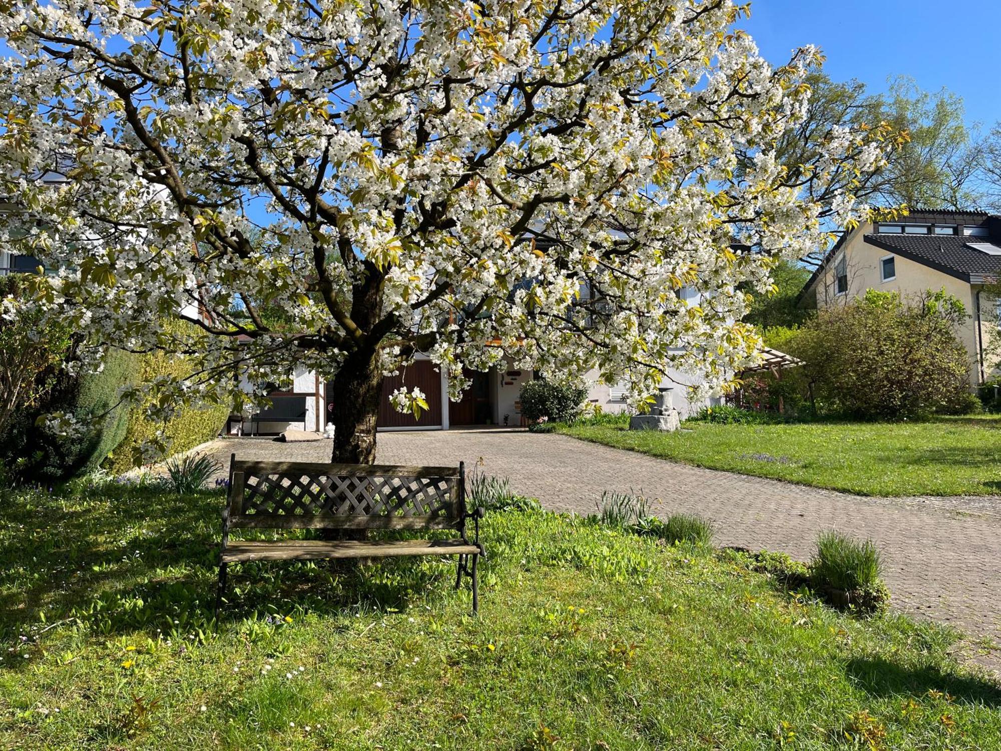 Ferienwohnung Am Kirschbaum Uhldingen-Mühlhofen Exteriér fotografie